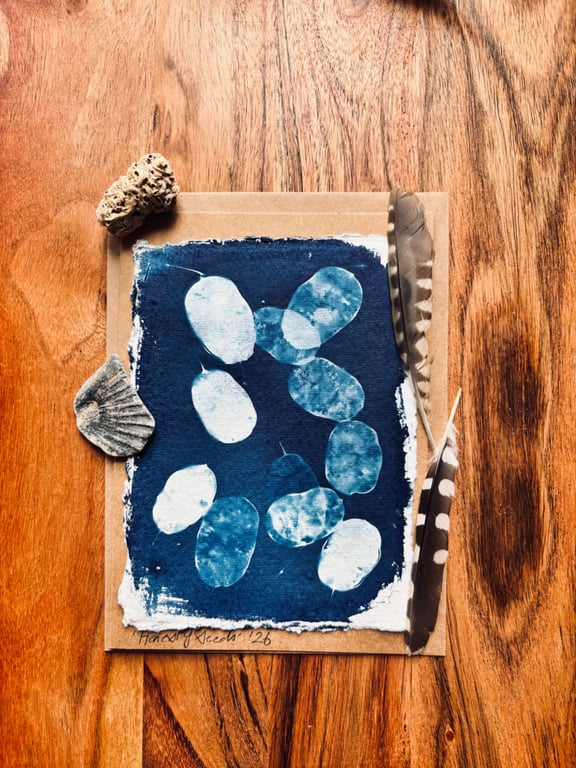 Cyanotype Honesty Seed-Heads 4 - Mounted Design - Card with envelope