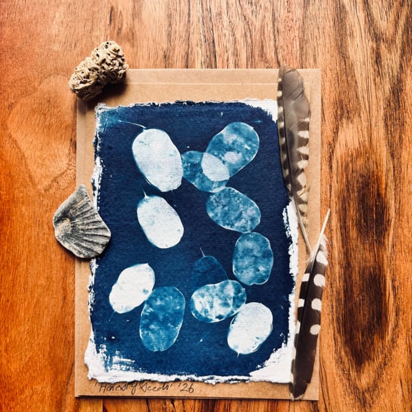 Cyanotype Honesty Seed-Heads 4 - Mounted Design - Card with envelope
