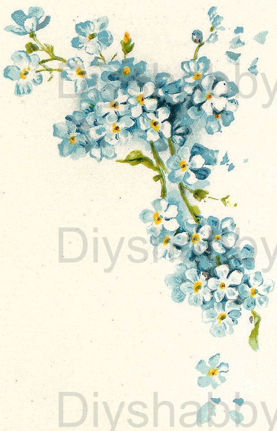 Waterslide Wood Furniture Vintage Image Transfer Shabby Chic Forget Me Flowers