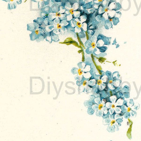 Waterslide Wood Furniture Vintage Image Transfer Shabby Chic Forget Me Flowers