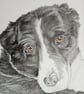 Pet Portrait, hand drawn pencil portrait, drawing of a dog, pet pictures - Image 6