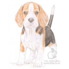 Betty the Beagle - Blank Card