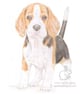 Betty the Beagle - Blank Card - Image 1