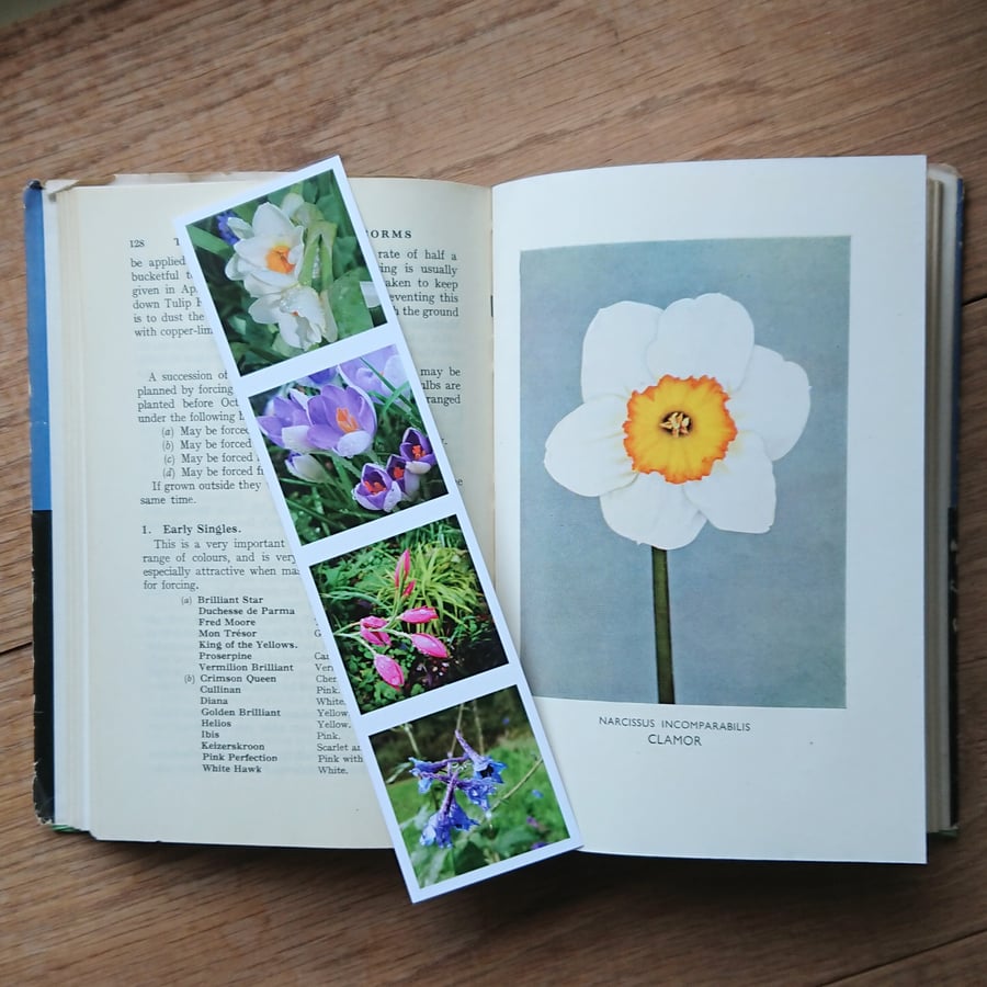 Bookmark - cottage garden flower photos - narcissus crocus hesperantha larkspur