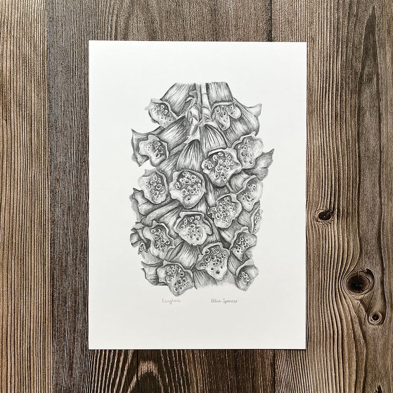 Foxglove Nature Giclée Art Print