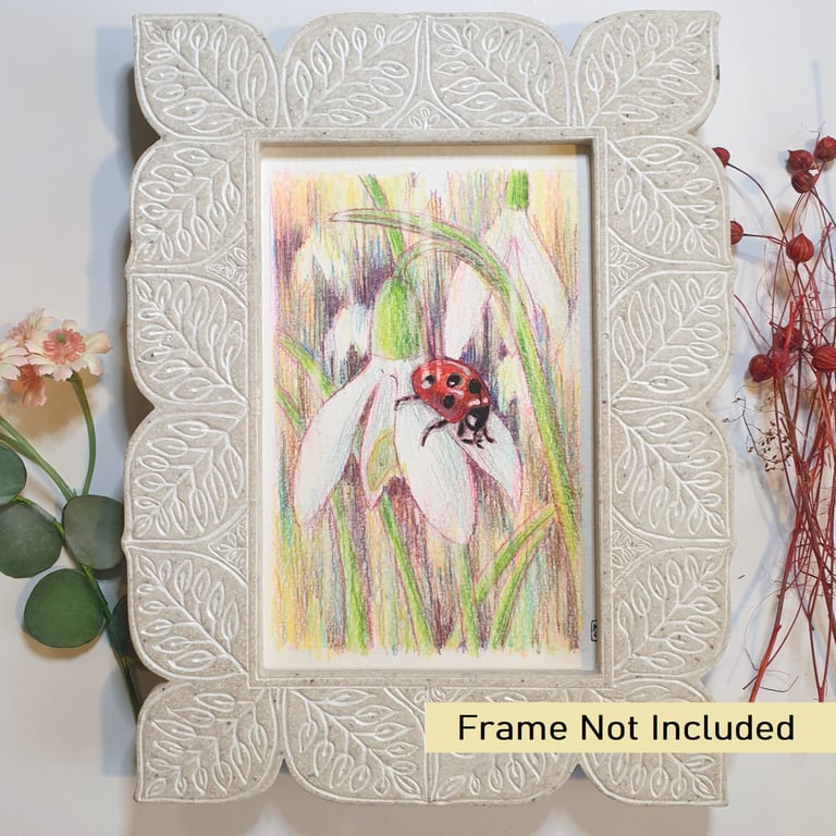 ladybird letterbox art gift, small original drawing, insect art