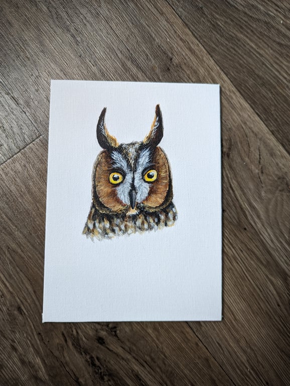 Long-eared Owl Portrait Painting (with hanger)