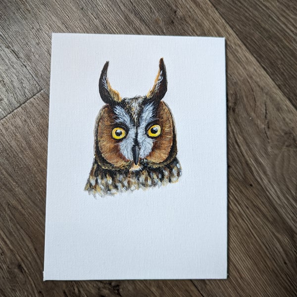 Long-eared Owl Portrait Painting (with hanger)