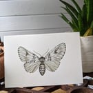 Watercolour moth print 