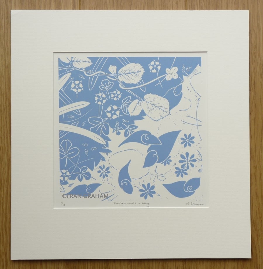 Bluebell woods in May - Blue