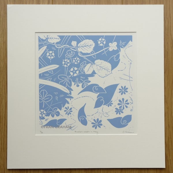 Bluebell woods in May - Blue