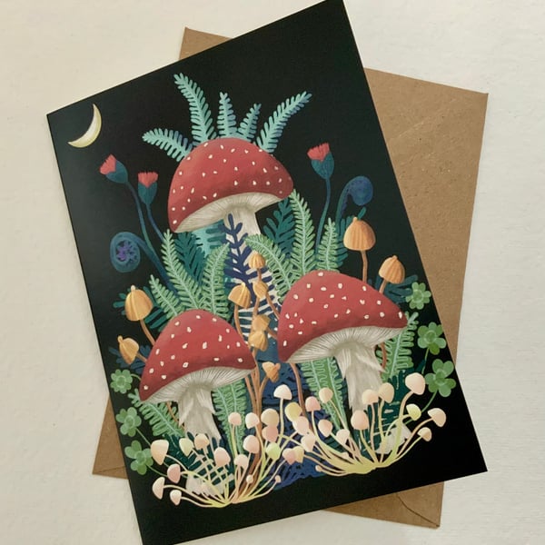 Toadstool and Ferns,  blank greetings card 