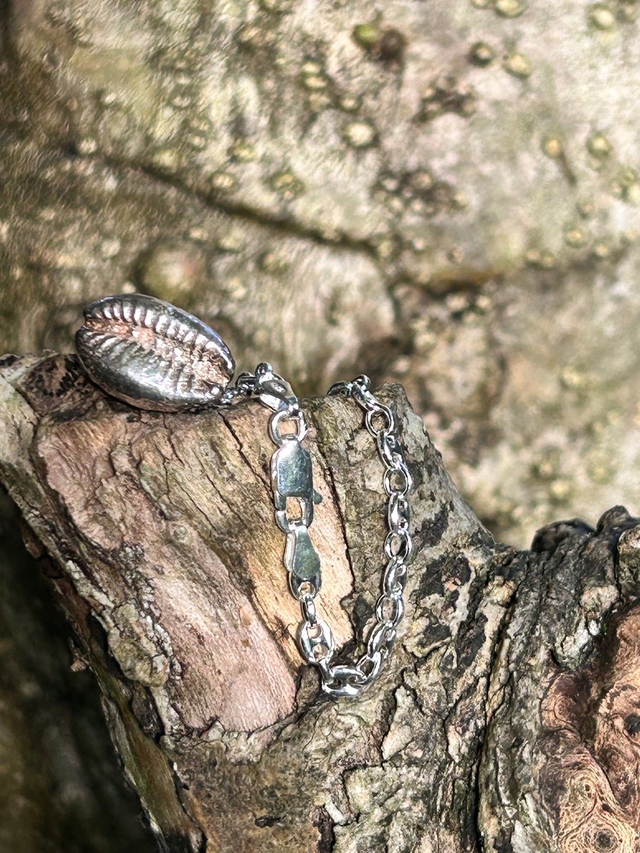 silver chunky cowrie shell bracelt