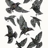 Starlings A3 poster-print