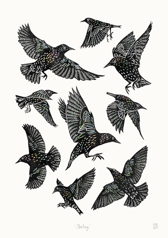 Starlings A3 poster-print
