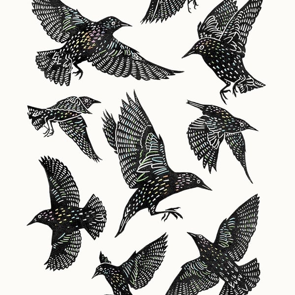 Starlings A3 poster-print