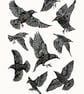 Starlings A3 poster-print