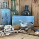 Original acrylic painting of a seagull on reclaimed timber
