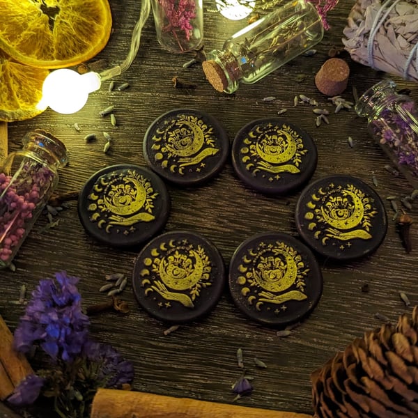 Botanical Moon Design Scented Wax Melt Coins