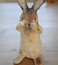 Wild Rabbit - Image 4