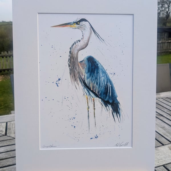 Heron - an A3 or A4 signed print of an original painting