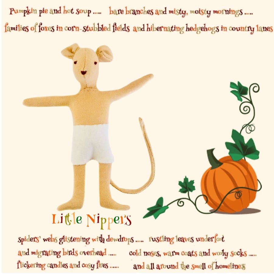 Reserved for Kat - Boy Little Nipper