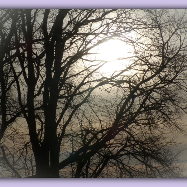 Sun Through Trees Winter Time Norfolk Greeting Card A5