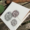 Just Alliums Greeting Card 