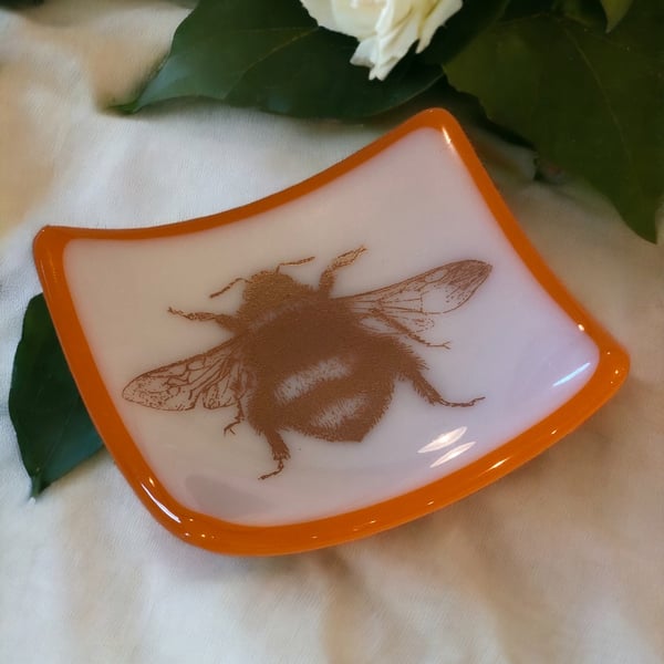 Bee trinket dish - fused glass with metallic enamel bee. 