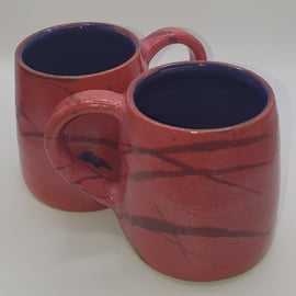 Raspberry mugs