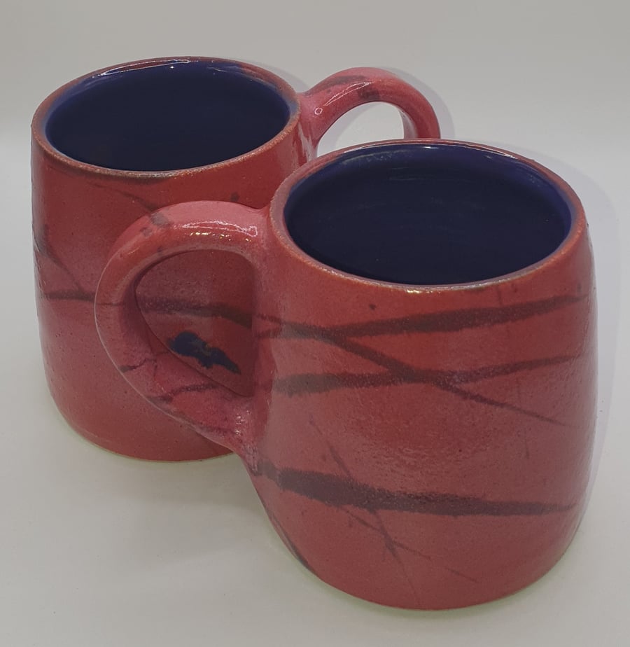 Raspberry mugs