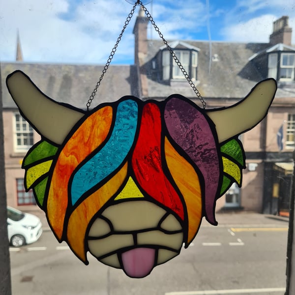 Multicoloured Highland Cow