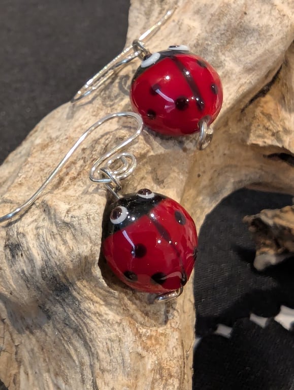 Handmade Murano Glass Ladybird Earrings on Sterling Silver Earwires