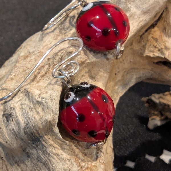 Handmade Murano Glass Ladybird Earrings on Sterling Silver Earwires