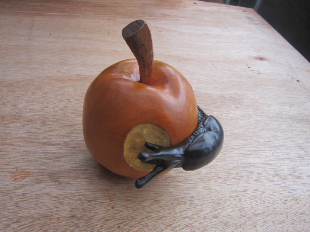 wooden apple with a slug