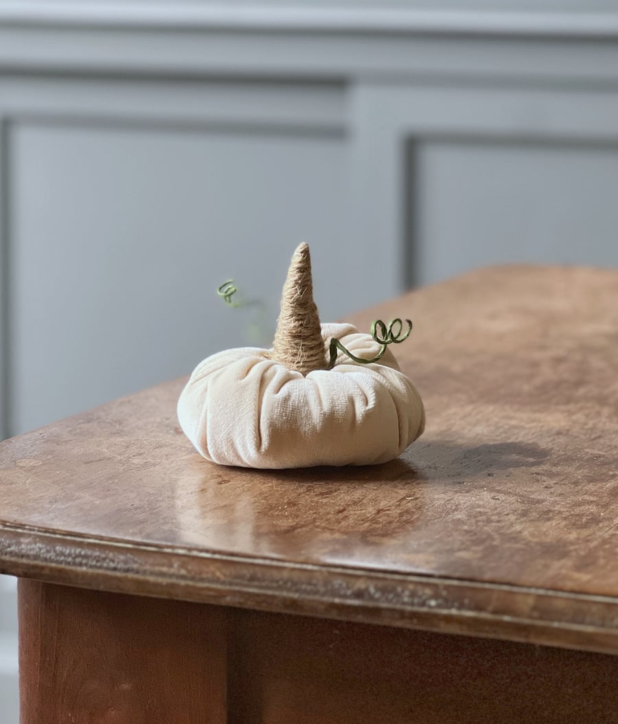 Ivory Velvet Pumpkin