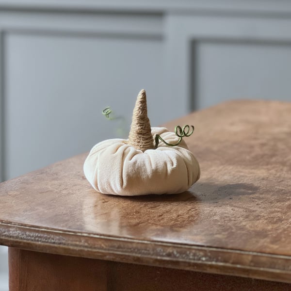 Ivory Velvet Pumpkin