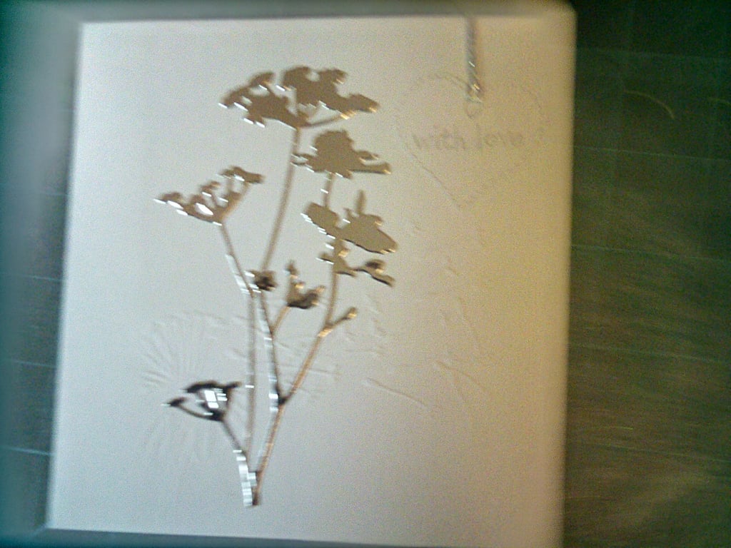 Achillea sympathy card 