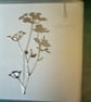 Achillea sympathy card  - Image 1