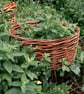 Willow Mini Raised Herb Bed Kit, Woven Willow Beginner Garden Craft Project