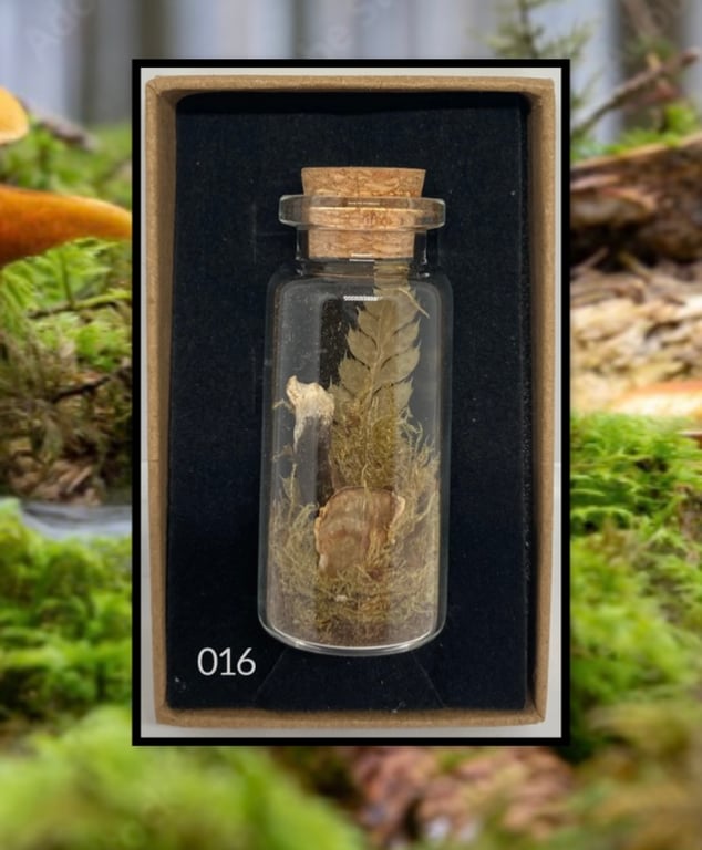 Forest curio jar