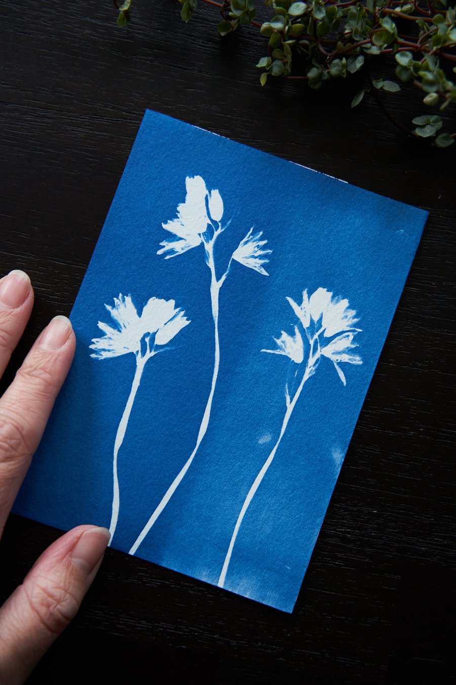 Mini handmade original cyanotype size A6 or 4.1x5.8 inches bluebells