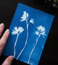 Mini handmade original cyanotype size A6 or 4.1x5.8 inches bluebells