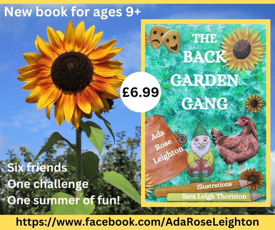 The Back Garden Gang Middle Grade Children's Book Paperback  Dance Summer