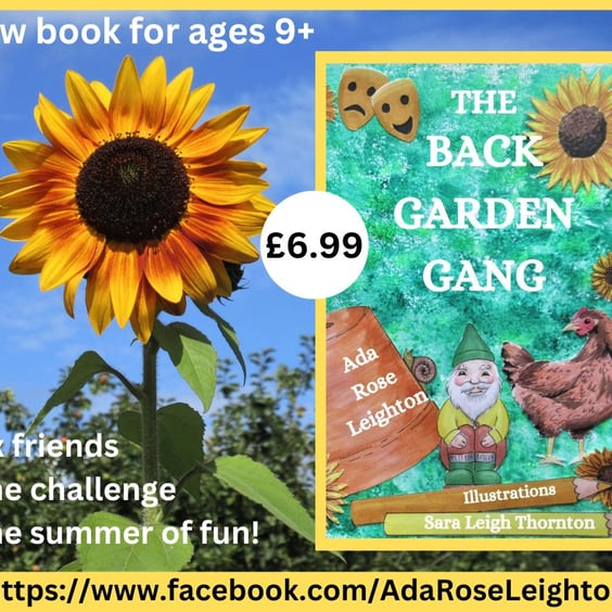 The Back Garden Gang Middle Grade Children's Book Paperback  Dance Summer