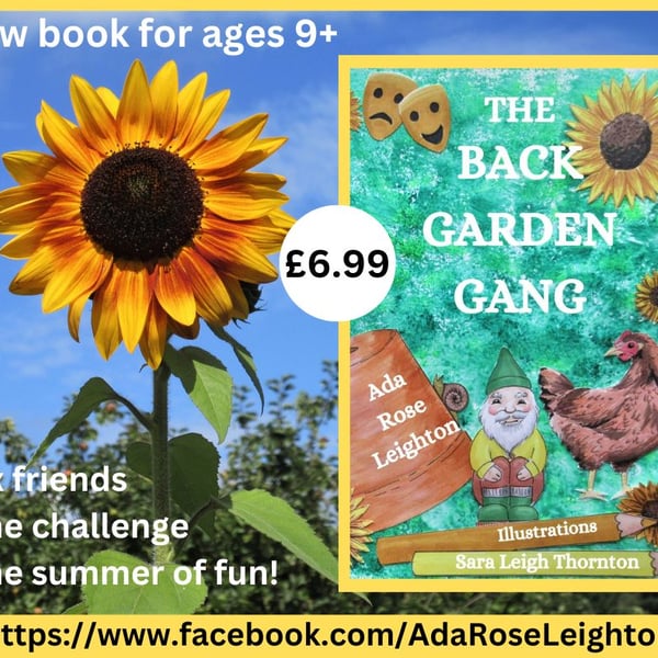 The Back Garden Gang Middle Grade Children's Book Paperback  Dance Summer