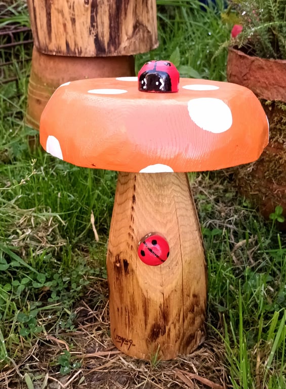 Orange Spotty Toadstool