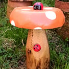 Orange Spotty Toadstool