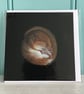 'Snuggle Up', sleeping dormouse, 14.5cm square wildlife art greetings card. - Image 4