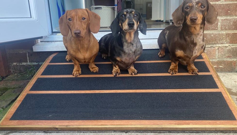 The Dog Ramp Workshop